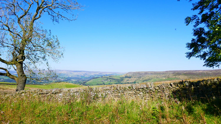 hills_to_be_admired---resize.jpg