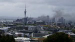 Auckland Tales