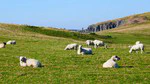 Cycling the Pennine Cycleway-ish