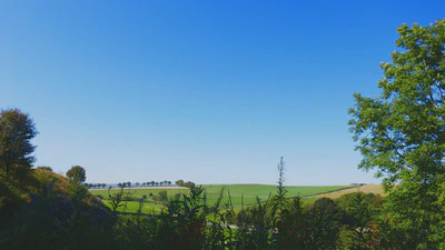 Lunch with a view